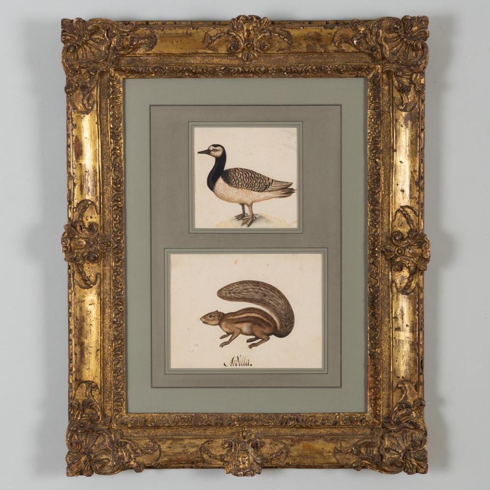 Lambert Lombard comparable auction result: lambert lombard 1506 1566 a duck and a squirrel