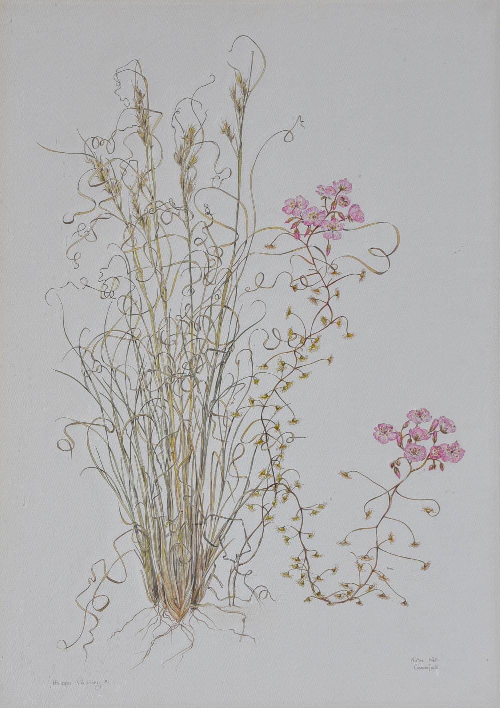 Philippa Nikulinsky comparable auction result: philippa nikulinsky b 1942