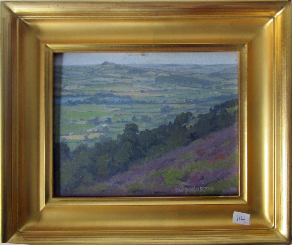 David Curtis comparable auction result: david curtis 1946 2022 oil on board landscape 7