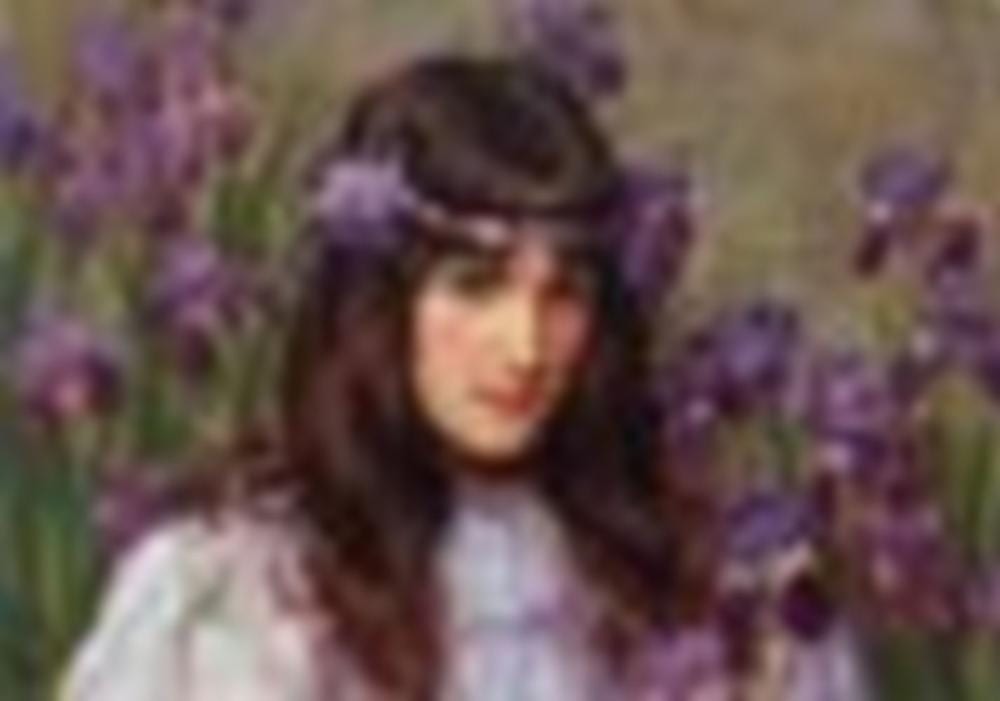 Frederick Marriott comparable auction result: frederick marriott british 1860 1941 iris oil on canvasboard 10 x 14 in