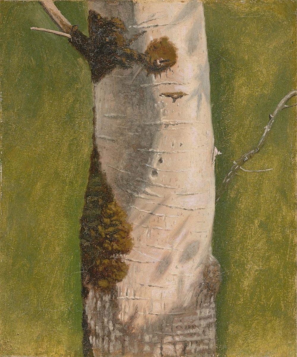 tree trunk · Grisebach · 2023-06-01 Christen Dalsgaard comparable auction result: tree trunk
