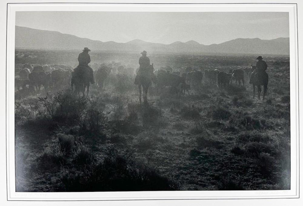 Barbara Van Cleve comparable auction result: barbara van cleve 20th c photograph pigment print bringing up the drag