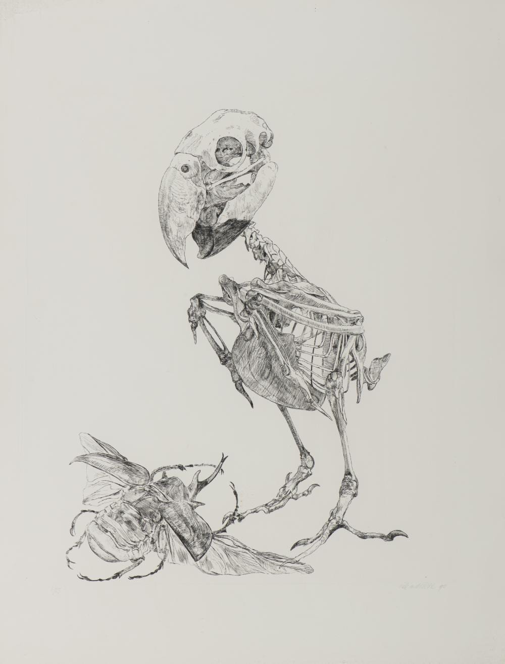 Erik Andriesse comparable auction result: erik andriesse dutch 1957 1993 bird and beetle 1990