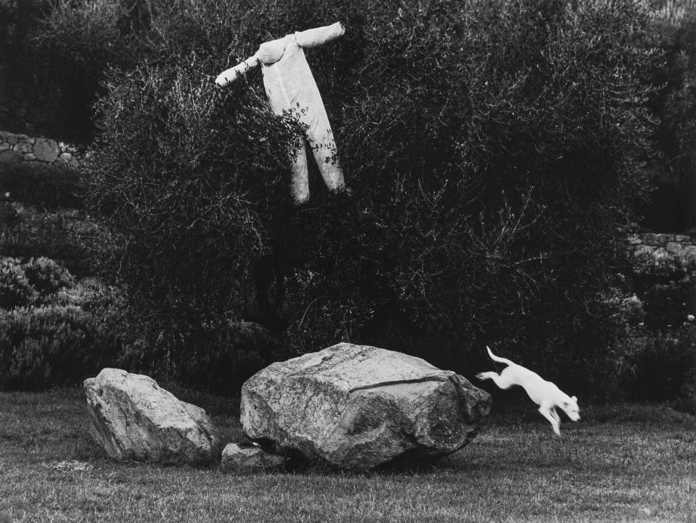 Mario Lasalandra comparable auction result: mario lasalandra 1933 il cane bianco 2000