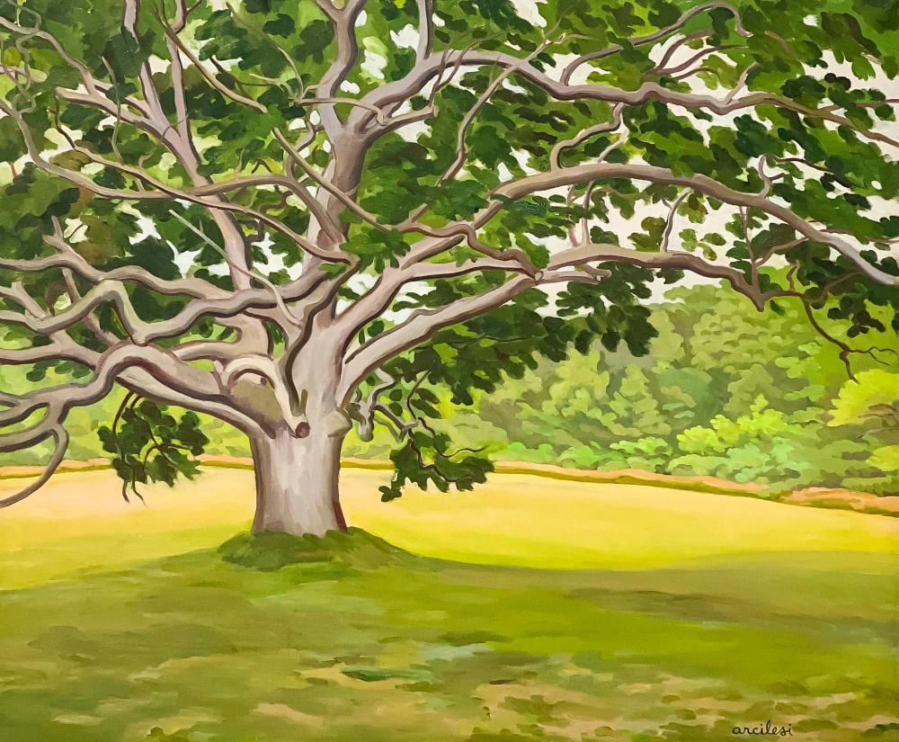 Vincent Arcilesi comparable auction result: vincent arcilesi old oak at north tisbury