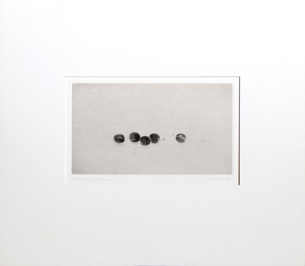 Gunnar Norrman comparable auction result: gunnar norrman plums etching with aquatint