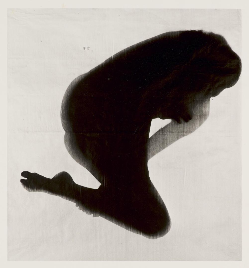 Floris M. Neusüss comparable auction result: floris m neus ss 3 photogramme in k rperschatten
