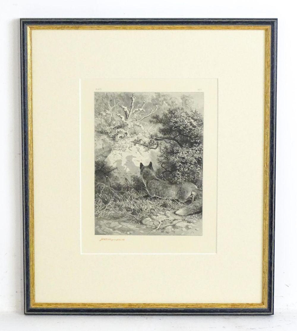 Josiah Wood Whymper comparable auction result: josiah wood whymper 1813 1903 after joseph wolf