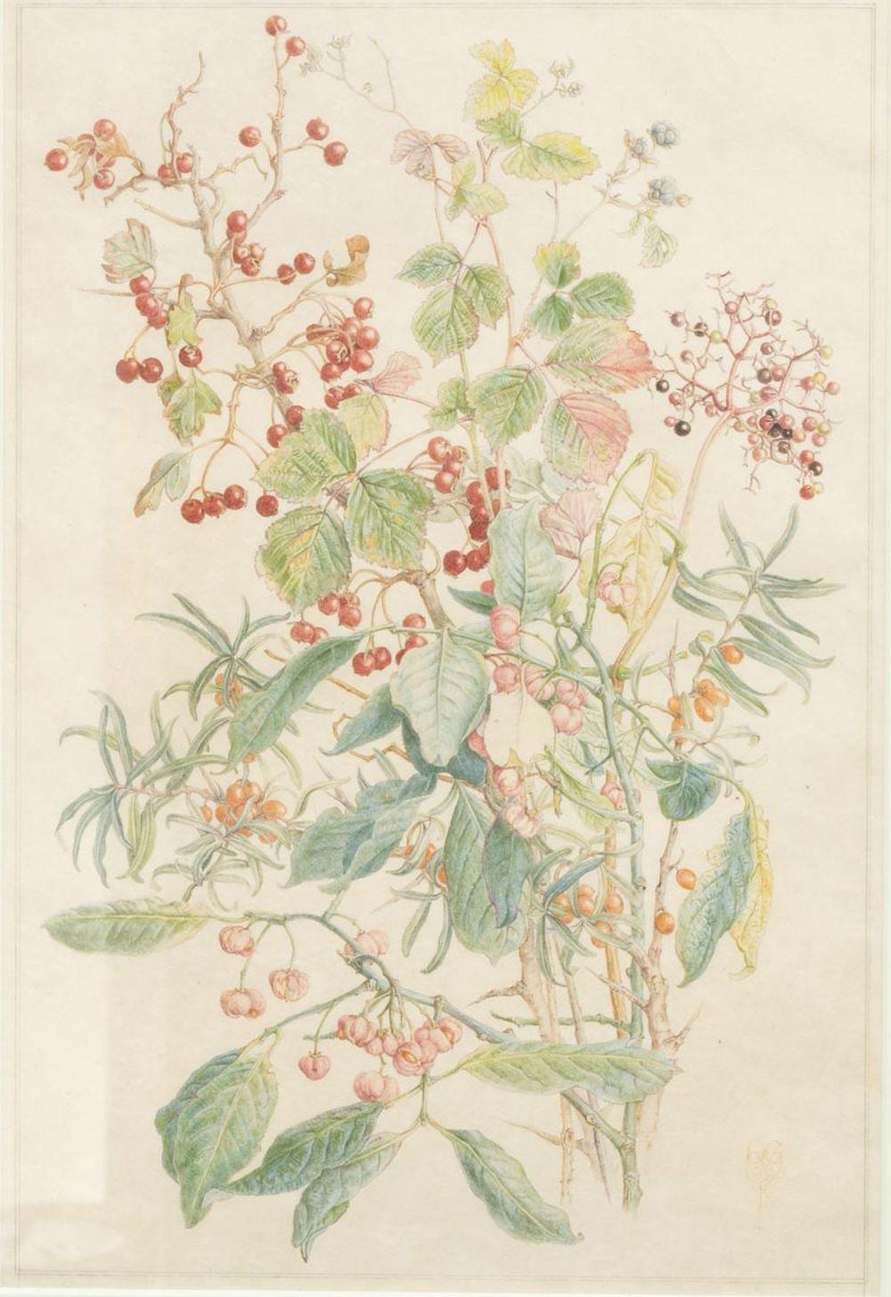 dirk van gelder 1907 1990 bessentakken · Veilinghuis Onder de Boompjes · 2023-06-19 Dirk van Gelder comparable auction result: dirk van gelder 1907 1990 bessentakken
