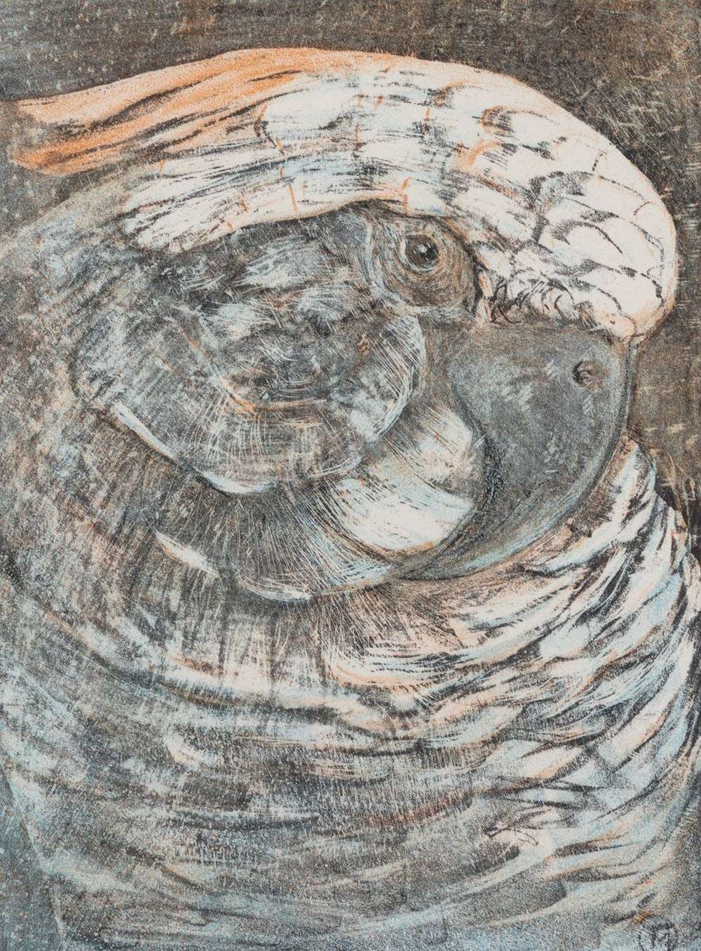 Theo van Hoytema comparable auction result: theo van hoytema 1863 1917 kop van een papegaai