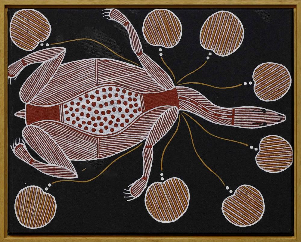Joey Nganjmirra comparable auction result: joey nganjmirra longneck turtle