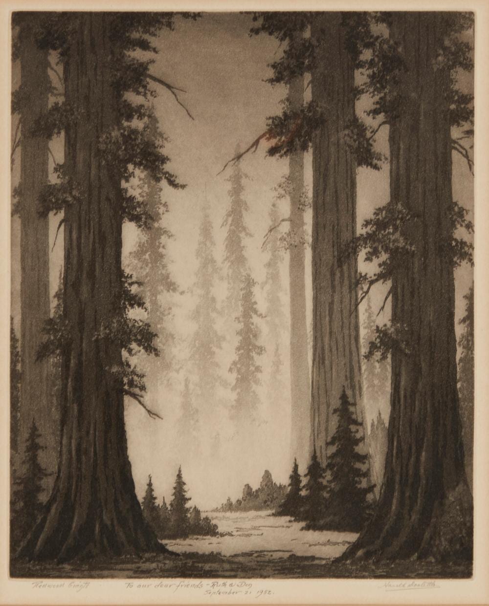 Harold Lukens Doolittle comparable auction result: harold lukens doolittle 1883 1974 redwood giants etching and aquatint on paper plate 12 h x 10 w sight 12 625 h x 10 5 w