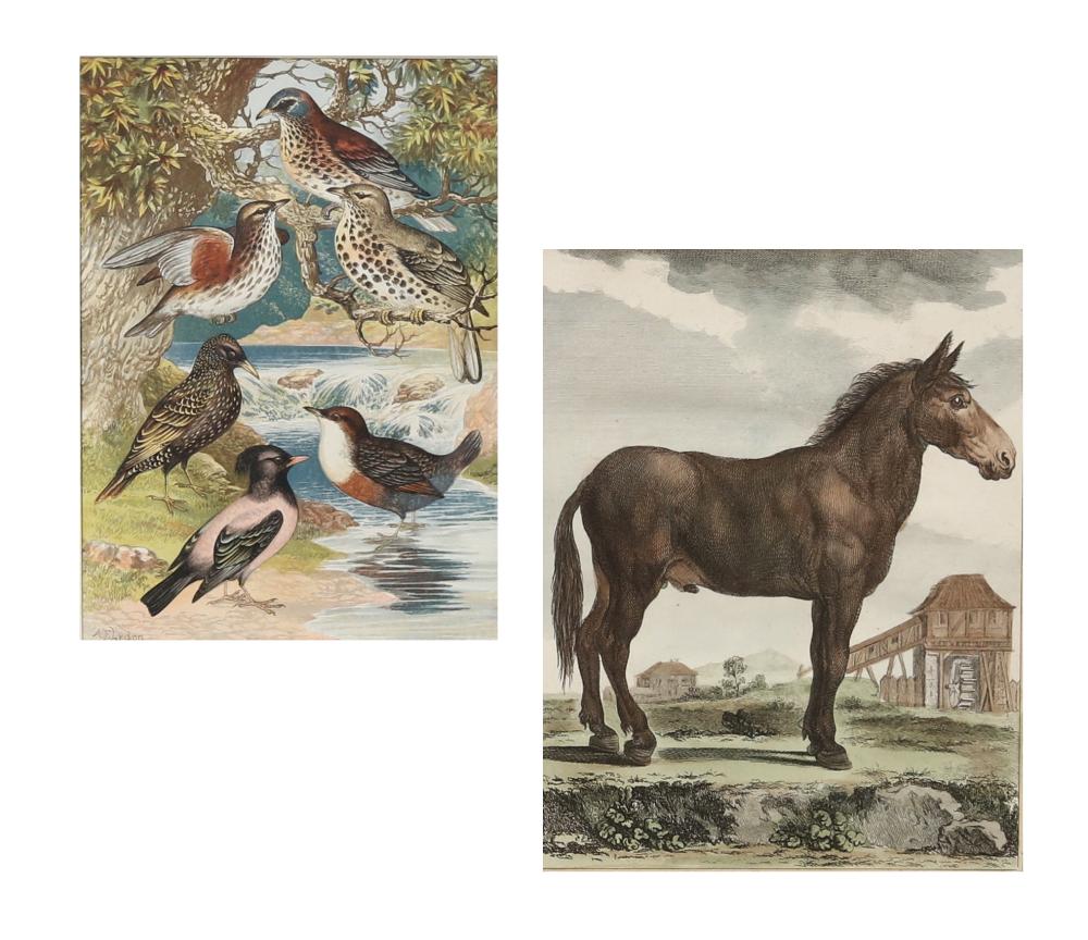 two decorative prints · Andrew Jones Auctions · 2023-08-08 Alexander Francis Lydon comparable auction result: two decorative prints