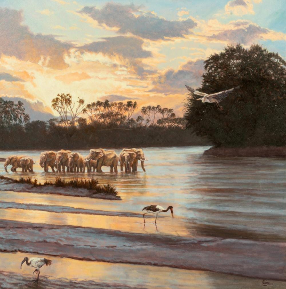 Gary Johnson comparable auction result: gary johnson american b 1953 samburu sunset