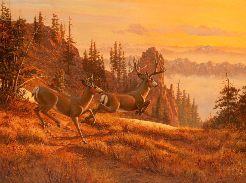 Roger Cooke comparable auction result: roger cooke american 1941 2012 high country 1990