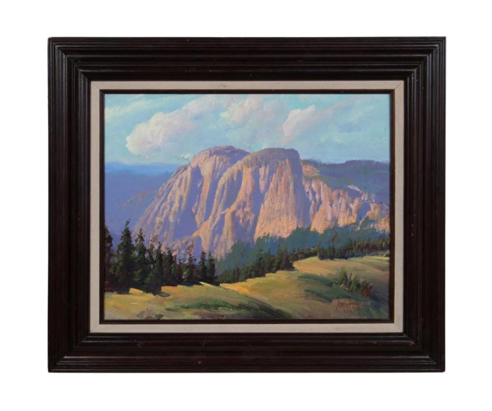 Andrew Peters comparable auction result: andrew peters los brazos o c landscape