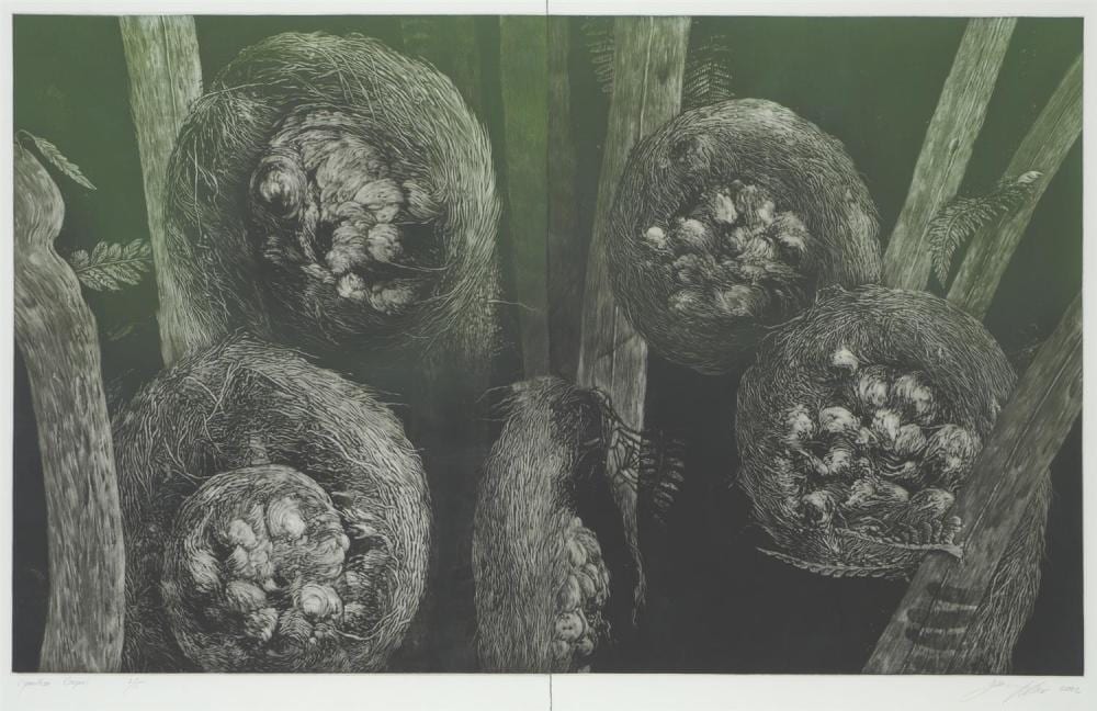 danie mellor born 1971 cyathea cooperi 2003 colour mezzotint edition of 15 · Leonard Joel · 2023-08-10 Danie Mellor comparable auction result: danie mellor born 1971 cyathea cooperi 2003 colour mezzotint edition of 15