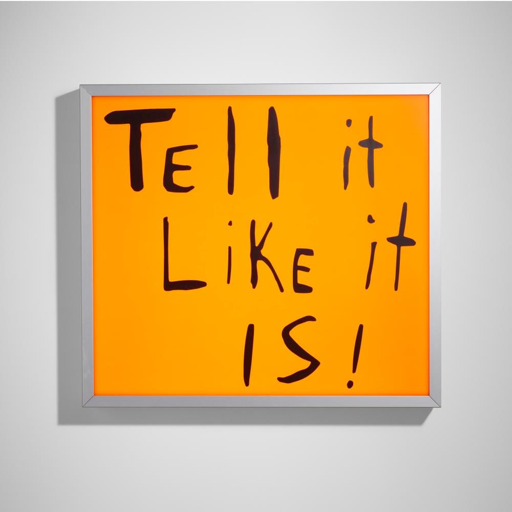 Sam Durant comparable auction result: sam durant tell it like it is