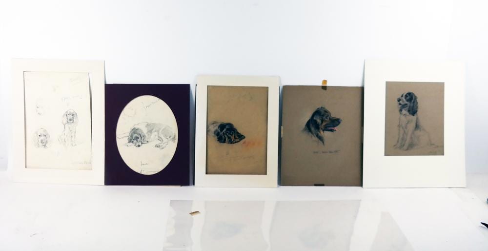 Lucy Dawson comparable auction result: lucy dawson five drawings of dogs