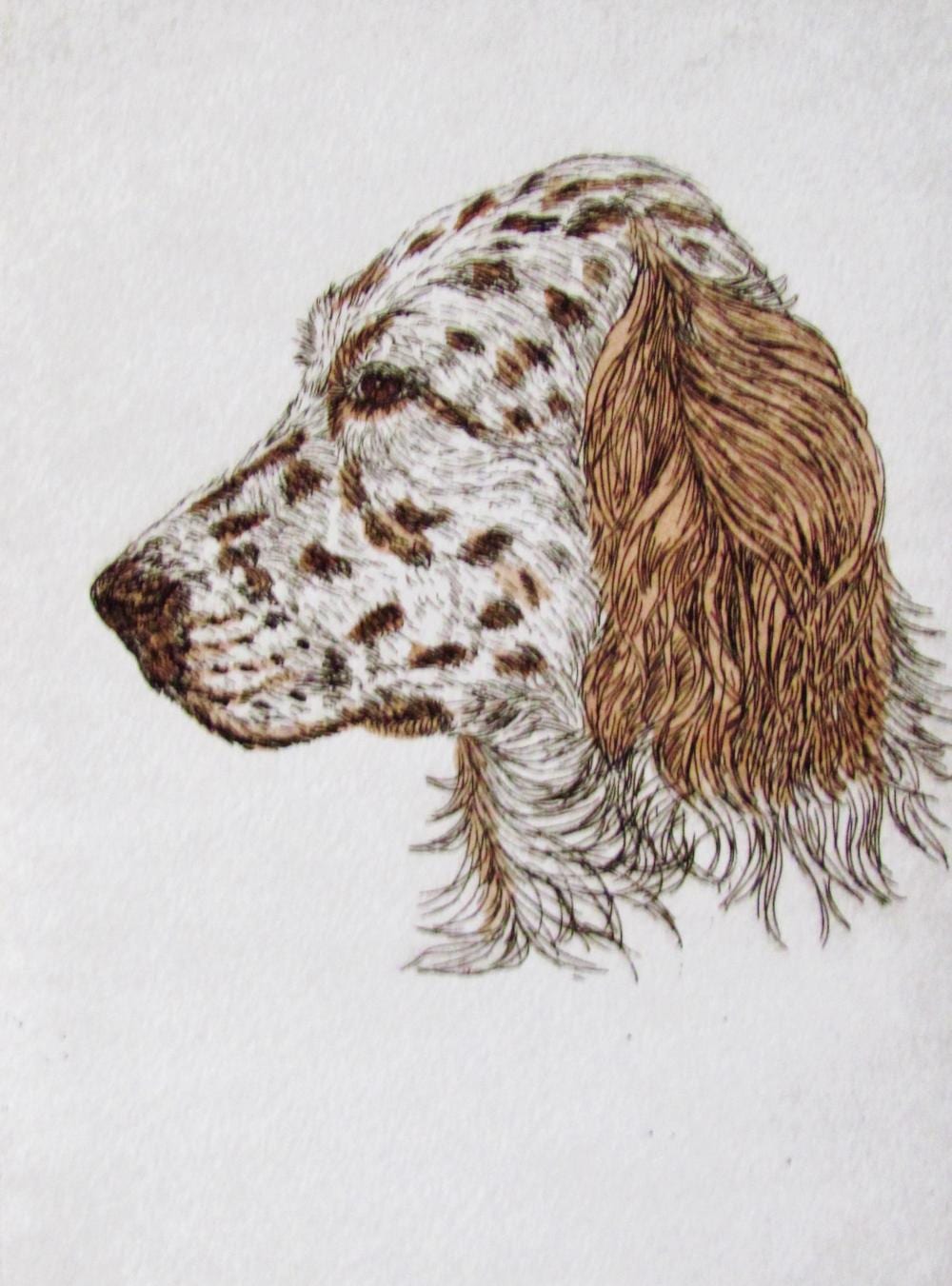 Geoffrey Lasko comparable auction result: geoffrey lasko english setter dog listed artist etching s n