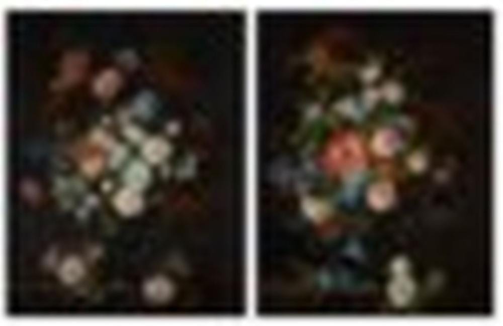 Antoine Monnoyer comparable auction result: antoine monnoyer paris 1677 1747 saint germain en laye roses tulips li