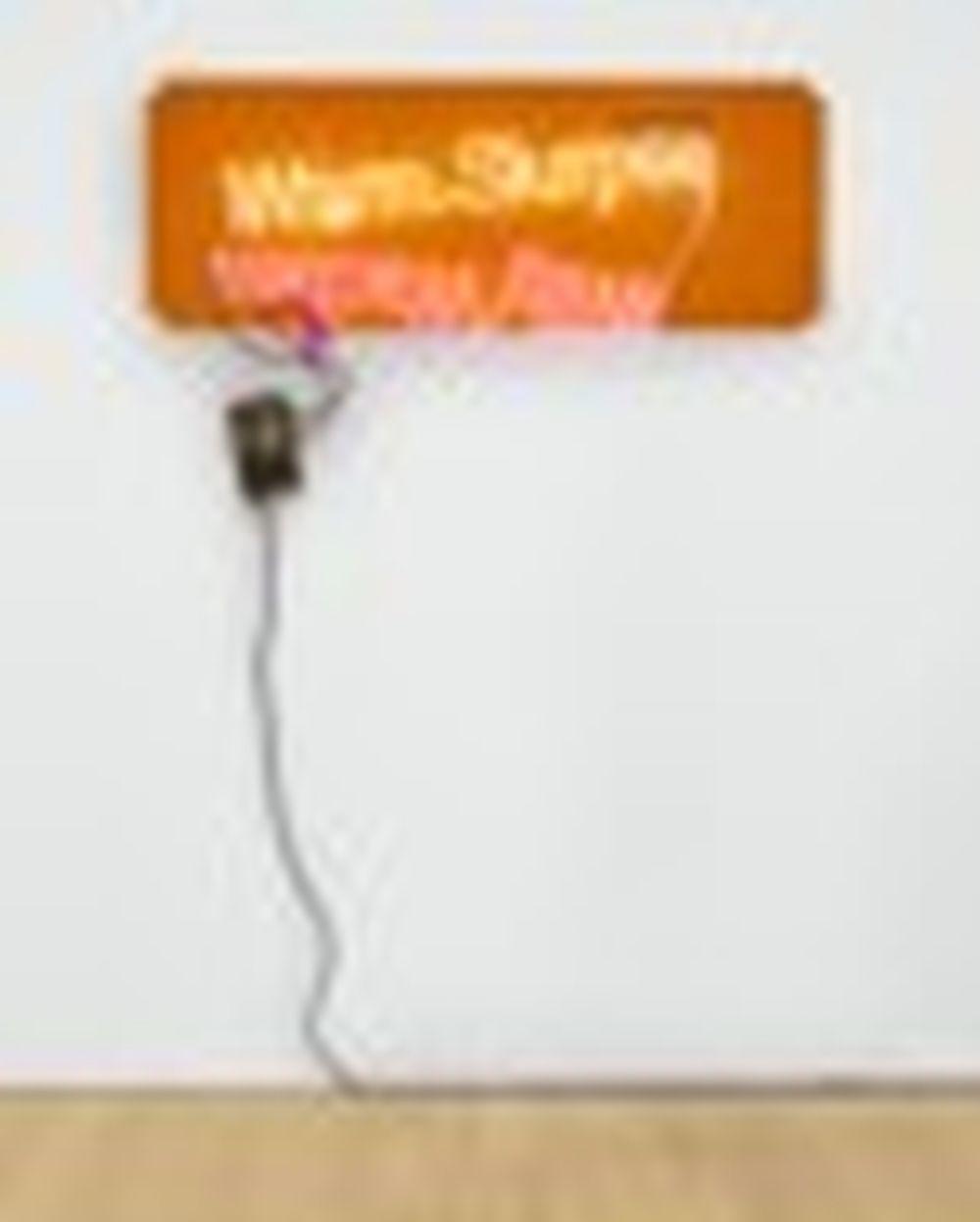 Jason Rhoades comparable auction result: jason rhoades 1965 2006 warm slurpee willy washer neon wire lace and r