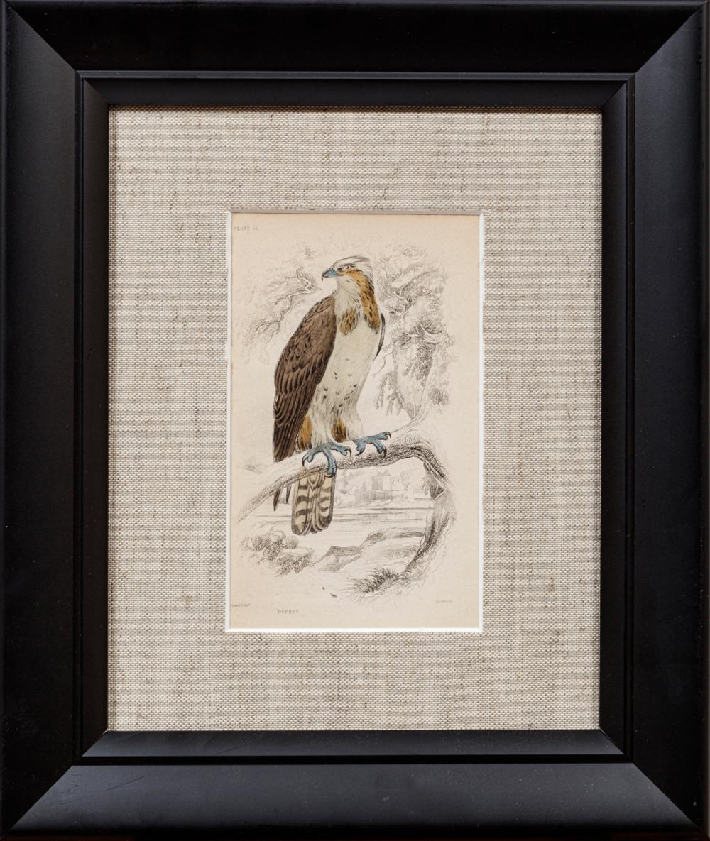 William Home Lizars comparable auction result: william home lizars scottish 1788 1859
