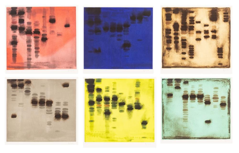 Dennis John Ashbaugh comparable auction result: dennis john ashbaugh american b 1946 aquatint etchings with carborundum and spit bite ca 1992 agrippa suite of six h 25 75 w 27
