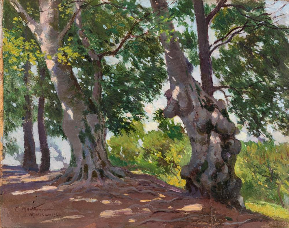 carlo montani saluzzo 1868 roma 1936 old trunks in monte cavo 1928 · Finarte · 2023-10-20 Carlo Montani comparable auction result: carlo montani saluzzo 1868 roma 1936 old trunks in monte cavo 1928