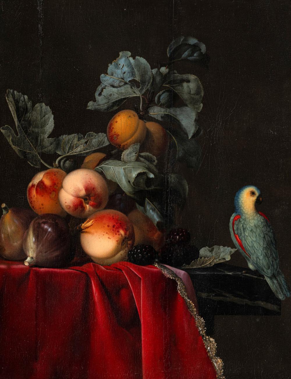 Willem van Aelst comparable auction result: willem van aelst dutch 1627 1683 still life with peaches and a perroquet 1651