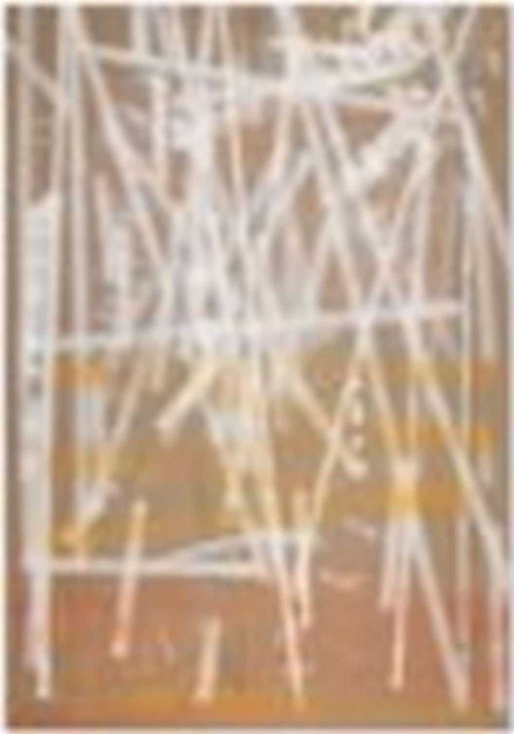 Fredrik Vaerslev comparable auction result: fredrik vaerslev b 1979 untitled spray paint on canvas 114 1 8 x 79 1 8