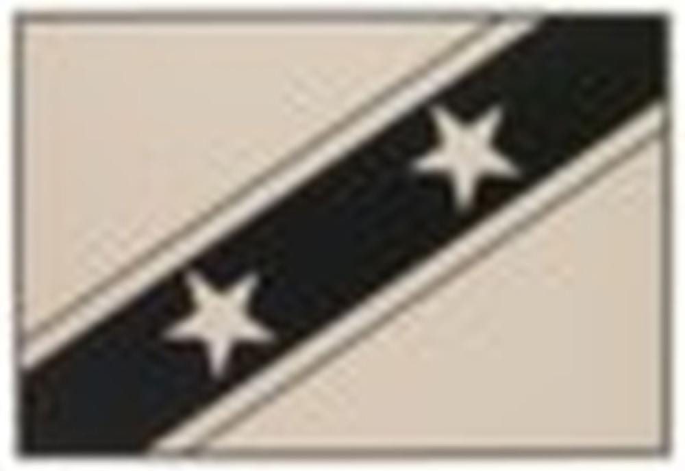 Fred Wilson comparable auction result: fred wilson b 1954 untitled saint kitts and nevis acrylic on canvas 2