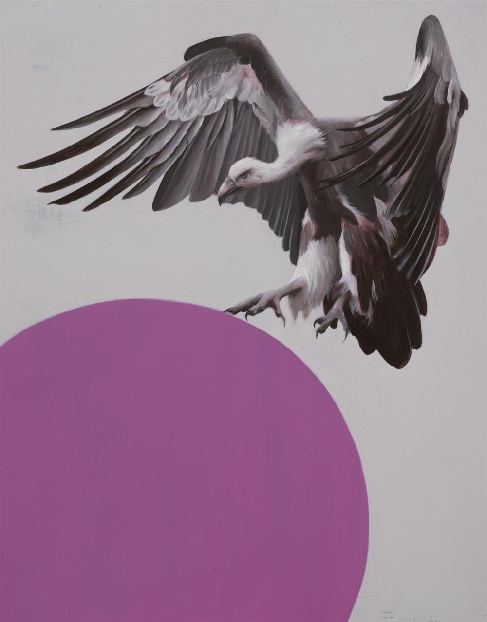 sam leach born 1973 vulture 2020 oil on board 35 5 x 28cm · Leonard Joel · 2023-10-24 Samuel Leach comparable auction result: sam leach born 1973 vulture 2020 oil on board 35 5 x 28cm