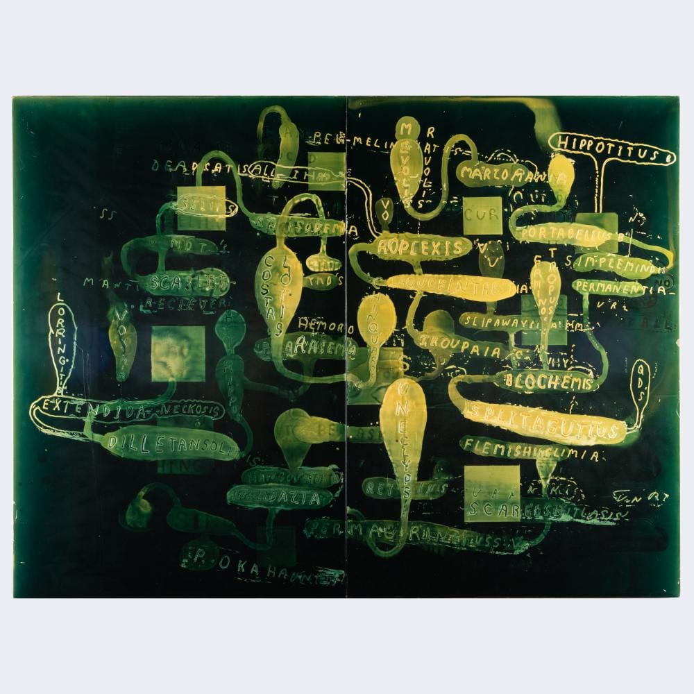 Graham Gillmore comparable auction result: graham gillmore b 1963 extendita neckosis
