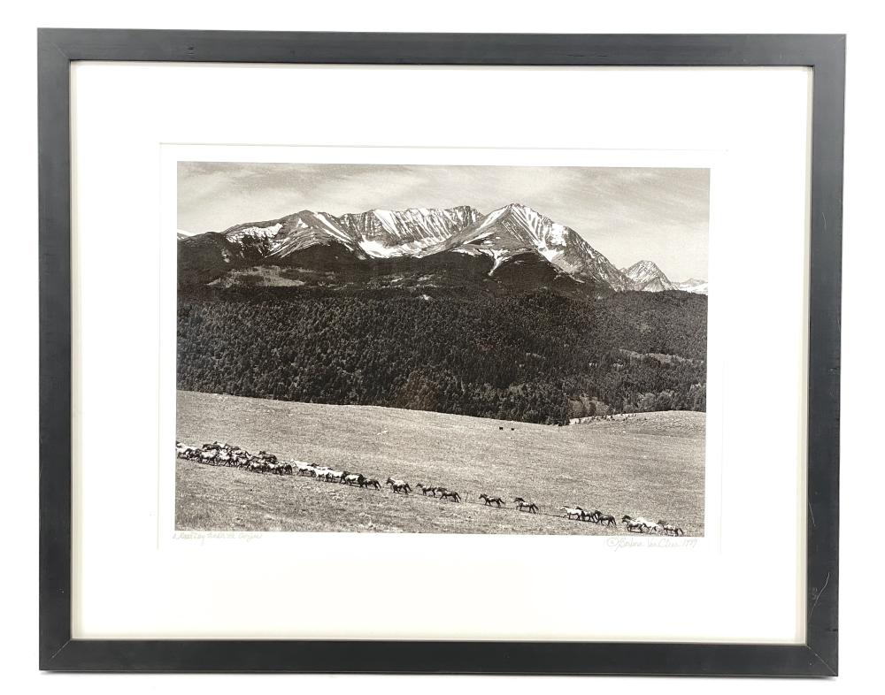 Barbara Van Cleve comparable auction result: barbara van cleve a good day under the crazies gelatin silver print