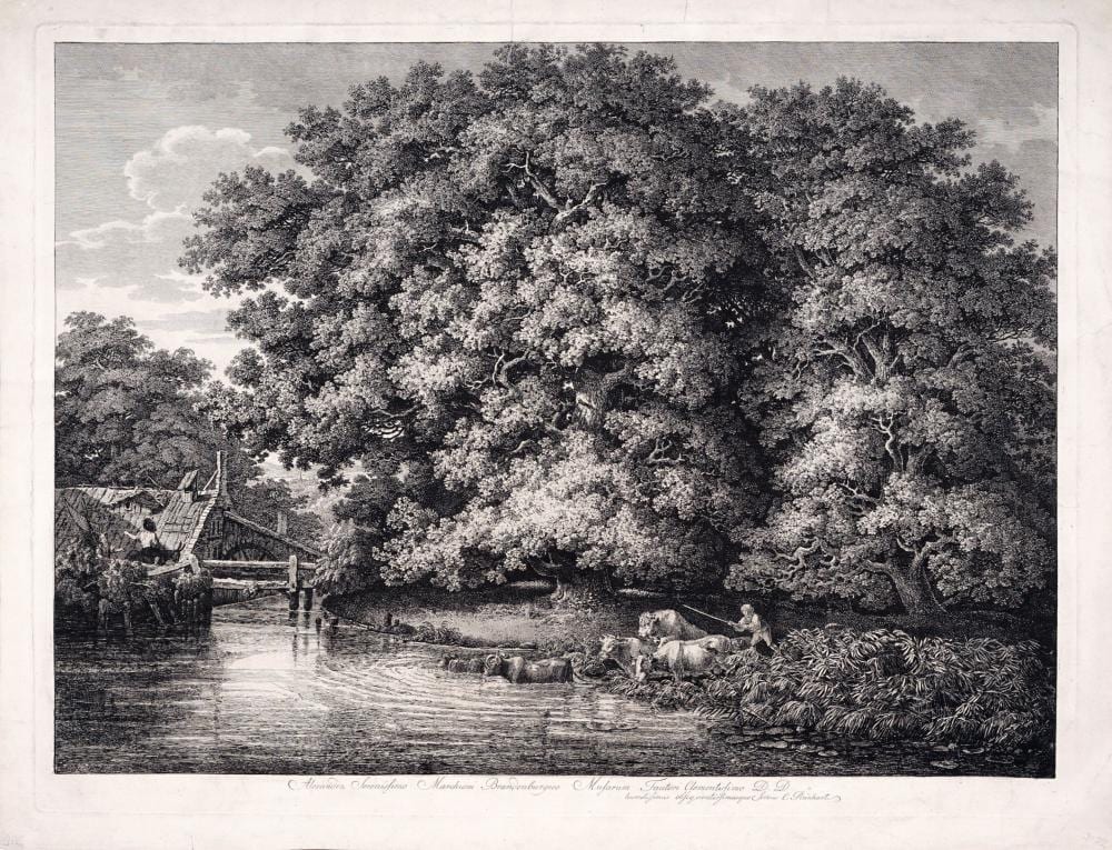Johann Christian Reinhart comparable auction result: johann christian reinhart die m hle bei den gro en eichen 1788
