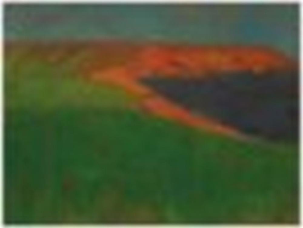 Georges Lacombe comparable auction result: georges lacombe 1868 1916 c te bretonne champ vert huile sur toile 46 2