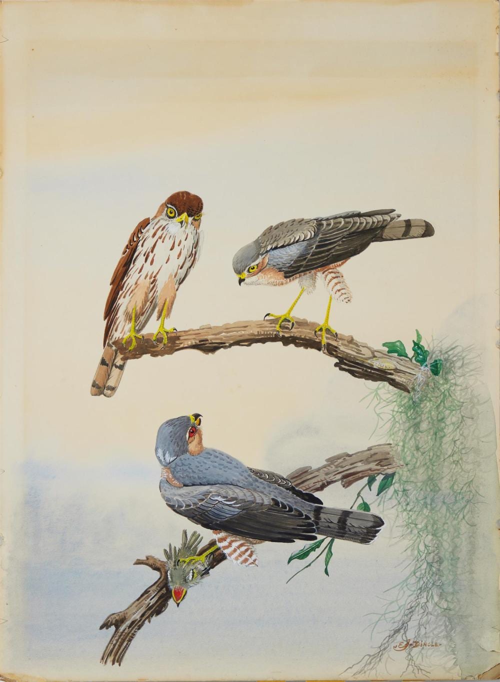 Edward Von Siebold Dingle comparable auction result: edward von siebold dingle
