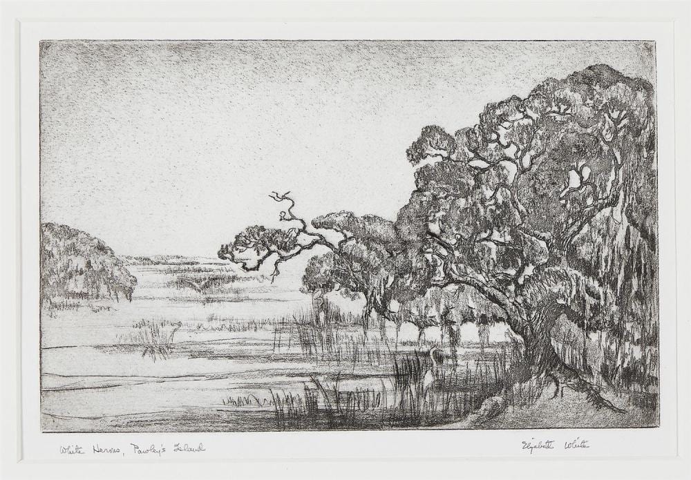 elizabeth white · Charlton Hall · 2023-11-10 Elizabeth White comparable auction result: elizabeth white