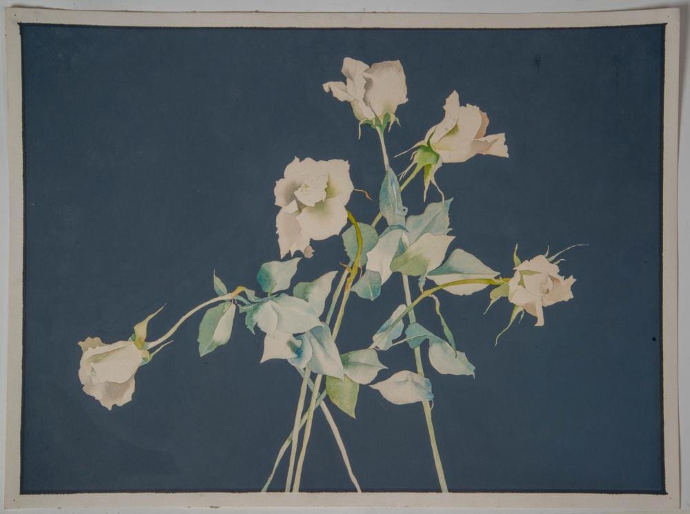 susan headley van campen born 1951 white roses i · Casco Bay Auctions · 2023-10-31 Susan Headley van Campen comparable auction result: susan headley van campen born 1951 white roses i