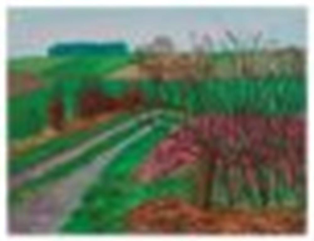 David Hockney (B. 1937) Track and Hedgerow, January oil on canvas 36 x 48 i comparable sale
