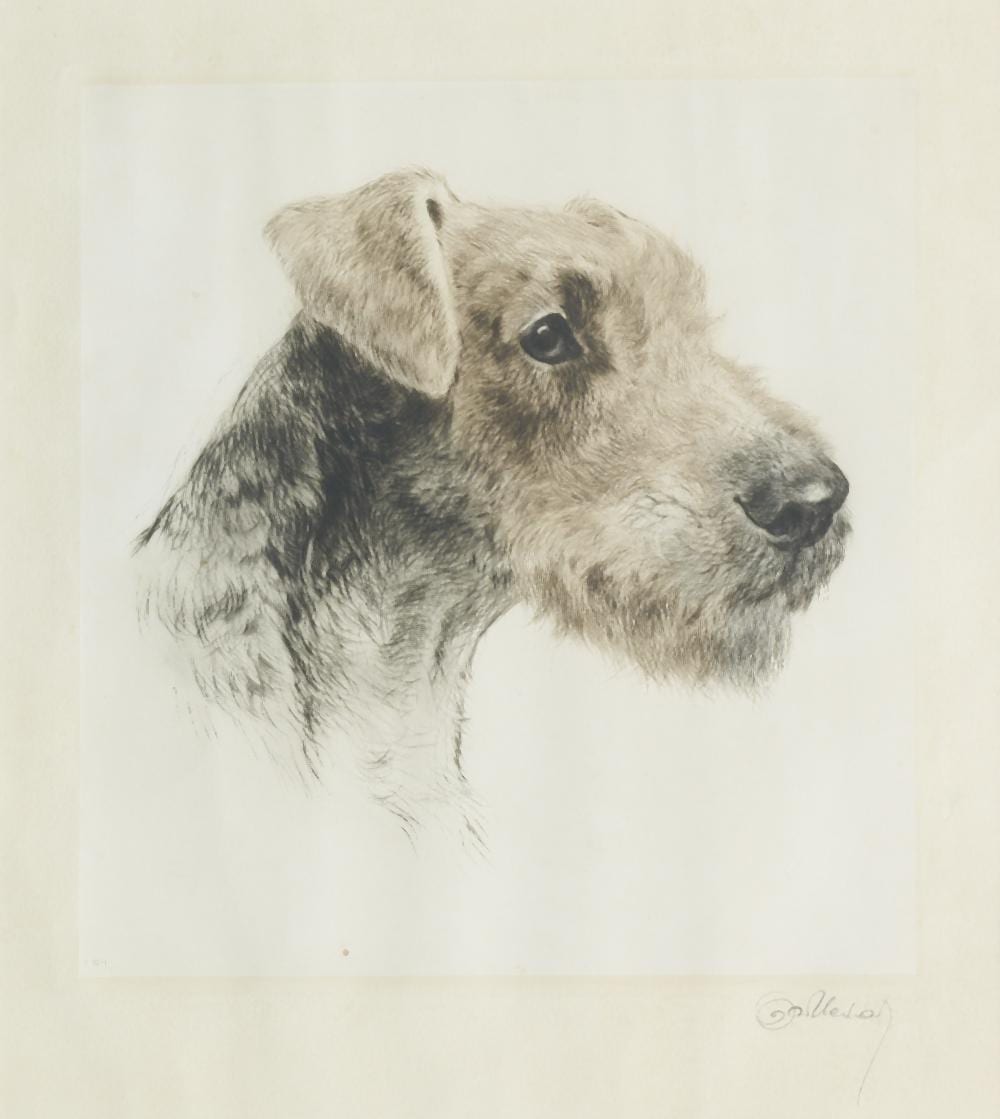 curt meyer eberhardt german 1895 1957 an airedale terrier image 28 x 25cm 11 x 9 13 16in · Bonhams · 2023-11-08 Curt Meyer-Eberhardt comparable auction result: curt meyer eberhardt german 1895 1957 an airedale terrier image 28 x 25cm 11 x 9 13 16in