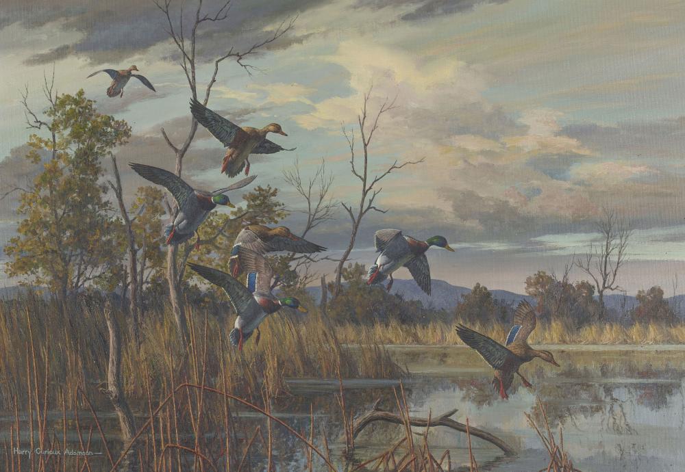 Harry Curieux Adamson comparable auction result: harry curieux adamson 1916 2012 ducks landing on a pond 22 x 32 in framed 29 1 2 x 39 1 2 in