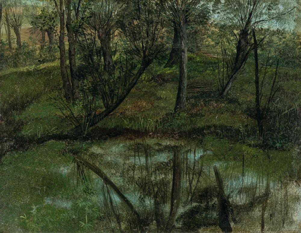Carl Gustav Carus comparable auction result: carl gustav carus 1789 leipzig dresden 1869 waldumkr nzter weiher weir in a forest