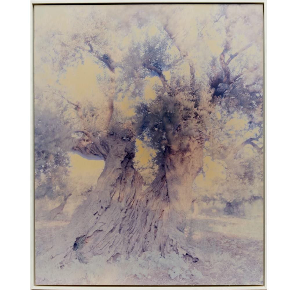 Ori Gersht comparable auction result: ori gersht chromogenic print 2003