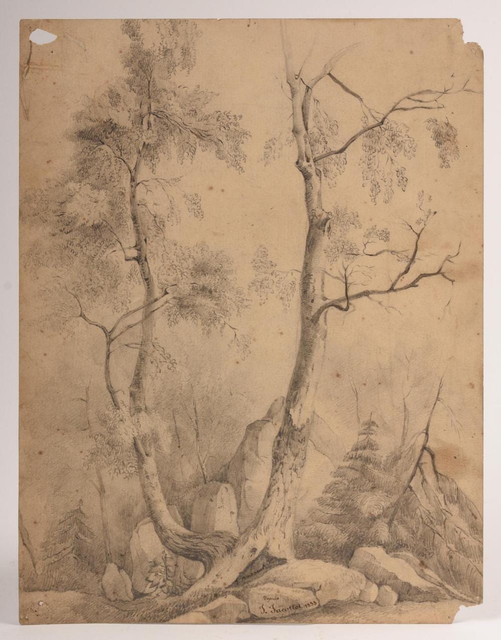 Jean Jacottet comparable auction result: jean jacottet 1806 1880 forest sketch