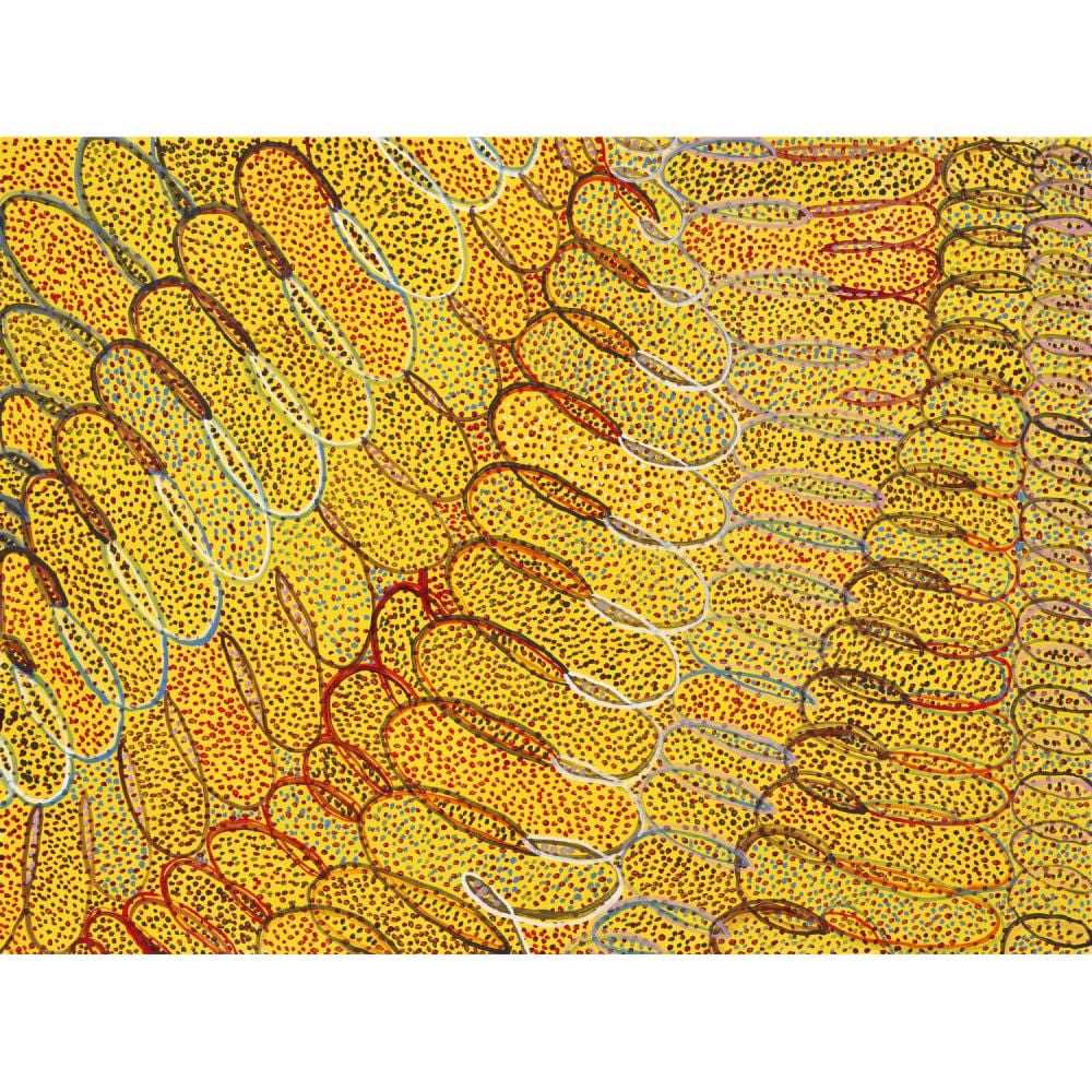regina pilawuk wilson born c 1945 lanuage group ngan gikurrungurr dilly bag stitch 2009 gouache and acrylic paint on hahnemuhle · Leonard Joel · 2023-11-21 Regina Wilson comparable auction result: regina pilawuk wilson born c 1945 lanuage group ngan gikurrungurr dilly bag stitch 2009 gouache and acrylic paint on hahnemuhle