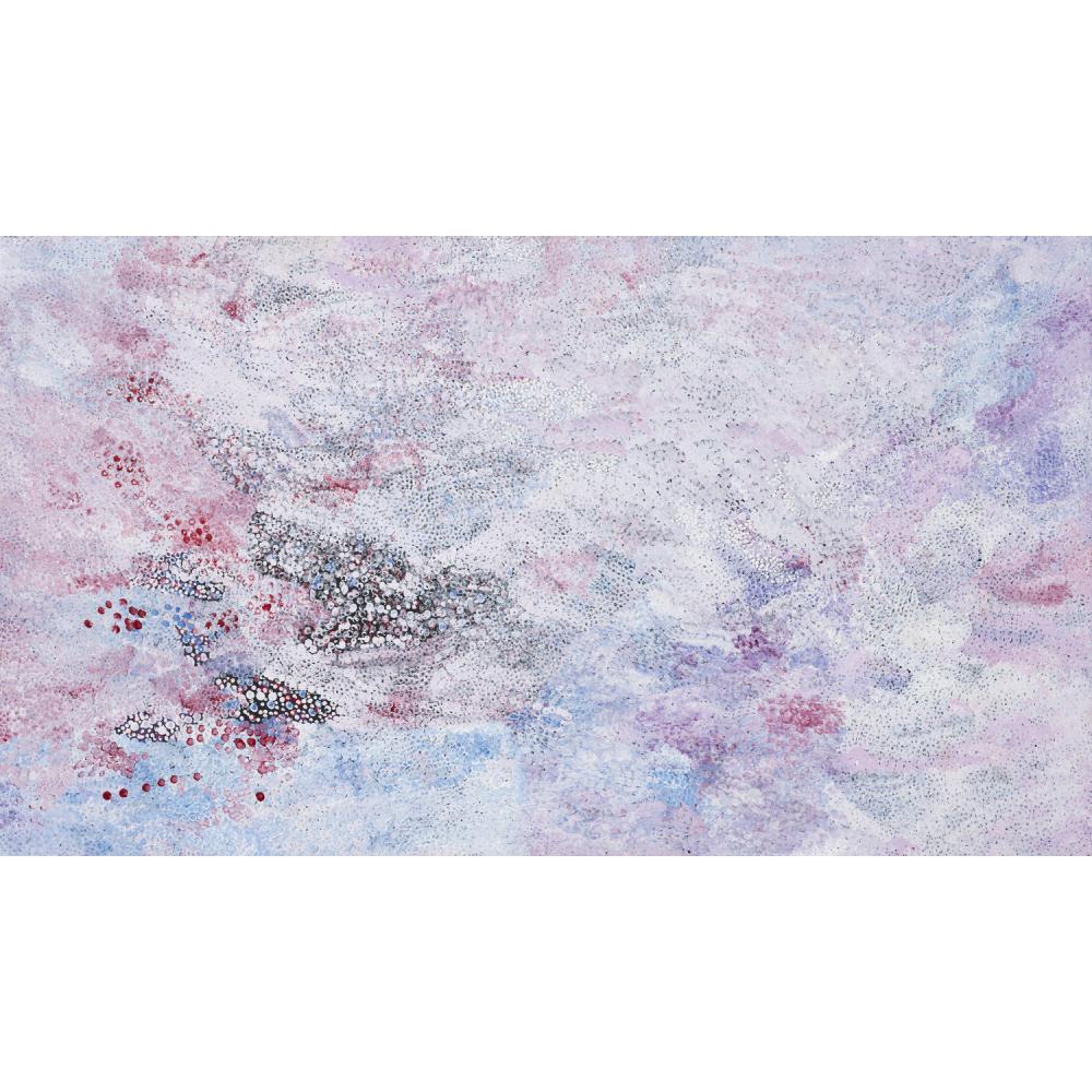 Kathleen Ngale comparable auction result: kathleen ngale born c 1934 language group anmatyarr untitled wild plum 2008 synthetic polymer paint on linen 122 x 213cm
