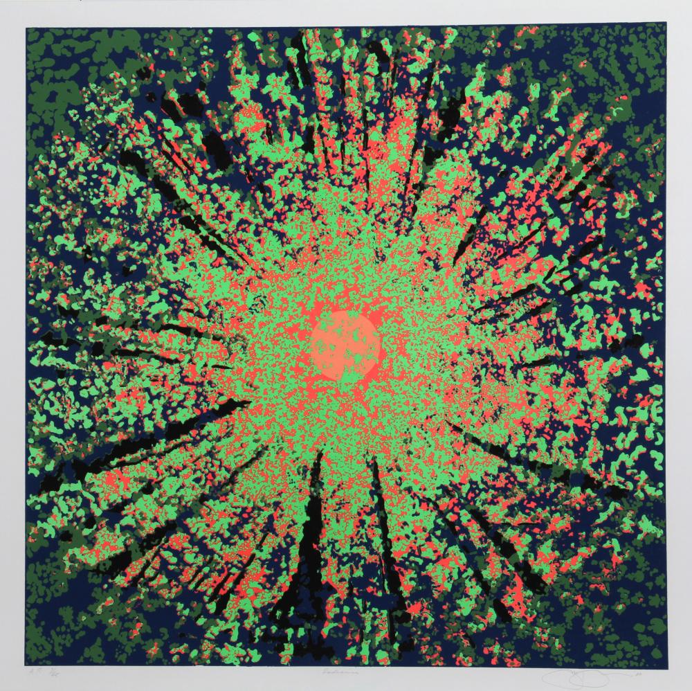 Jon D'Orazio comparable auction result: jon d orazio radiance screenprint