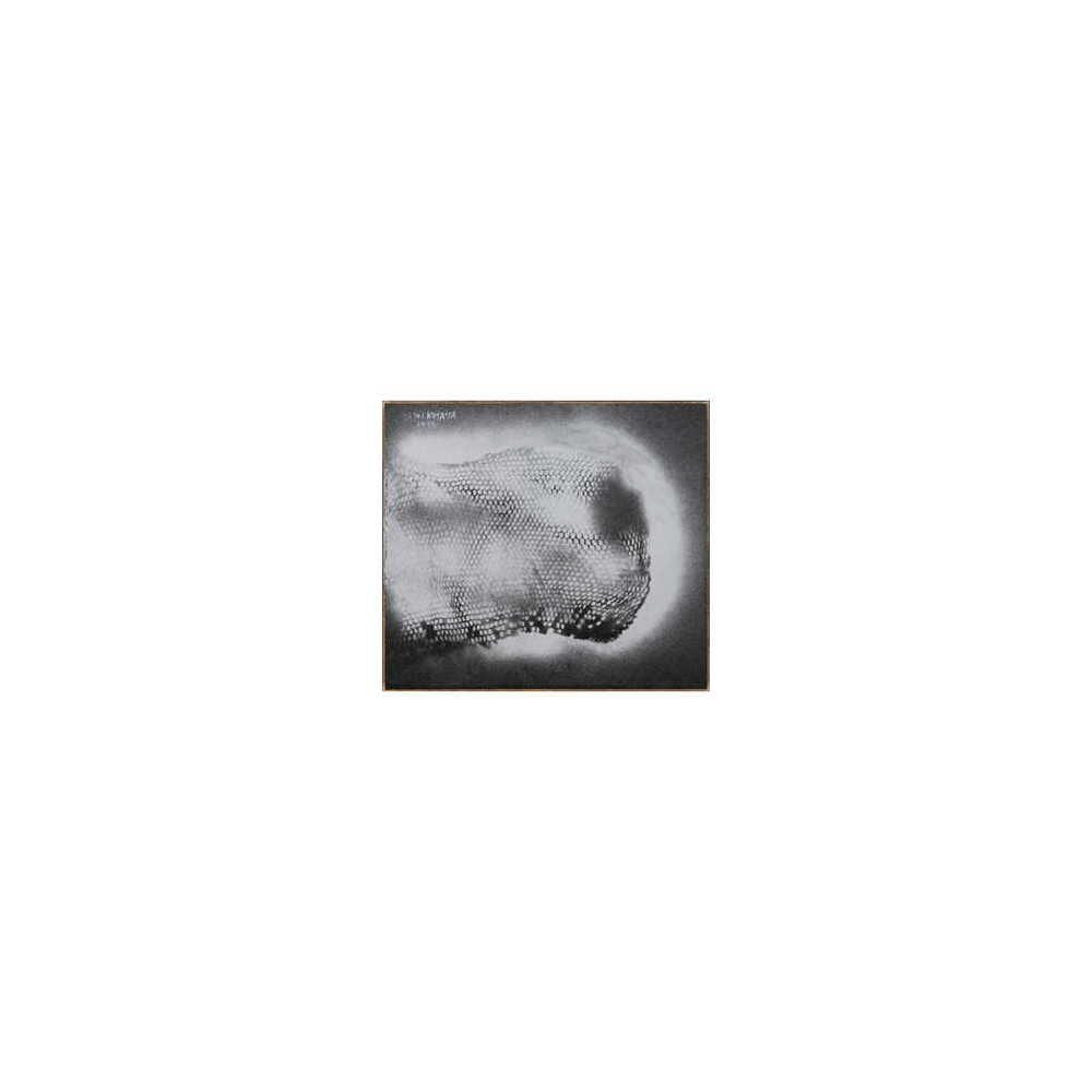 SLIVERY WAVES by KUSAMA Yayoi comparable sale